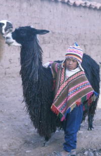 boyandllama.jpg